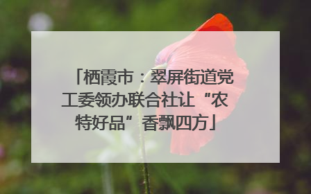 栖霞市：翠屏街道党工委领办联合社让“农特好品”香飘四方