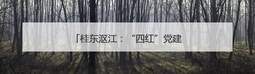 桂东沤江：“四红”党建领航绘就康氧文旅新画卷