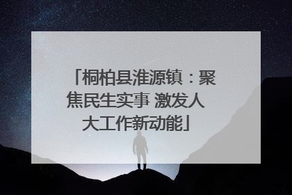 桐柏县淮源镇：聚焦民生实事 激发人大工作新动能