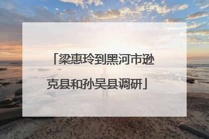 梁惠玲到黑河市逊克县和孙吴县调研