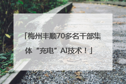 梅州丰顺70多名干部集体“充电”AI技术！