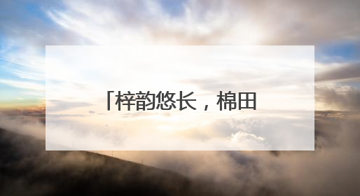 梓韵悠长，棉田逐光 绵阳梓棉小学开展2025年春季田径运动会