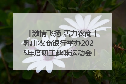 激情飞扬 活力农商丨乳山农商银行举办2025年度职工趣味运动会