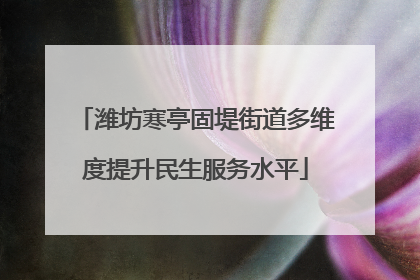 潍坊寒亭固堤街道多维度提升民生服务水平