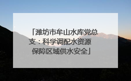 潍坊市牟山水库党总支：科学调配水资源 保障区域供水安全