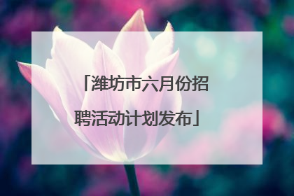 潍坊市六月份招聘活动计划发布
