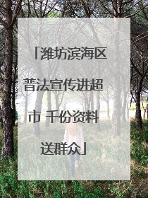 潍坊滨海区普法宣传进超市 千份资料送群众