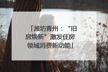 潍坊青州：“旧房焕新”激发住房领域消费新动能