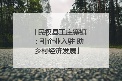 民权县王庄寨镇：引企业入驻 助乡村经济发展