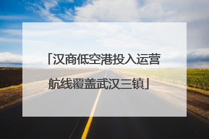 汉商低空港投入运营 航线覆盖武汉三镇