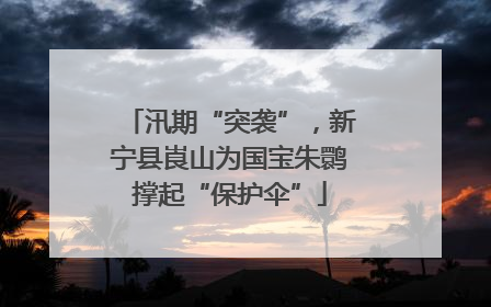 汛期“突袭”，新宁县崀山为国宝朱鹮撑起“保护伞”