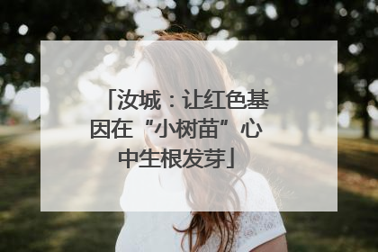 汝城：让红色基因在“小树苗”心中生根发芽