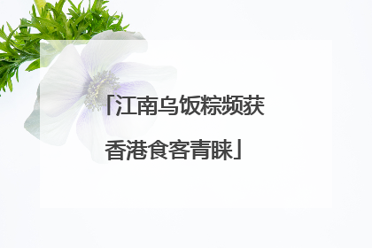 江南乌饭粽频获香港食客青睐