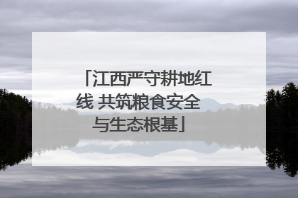 江西严守耕地红线 共筑粮食安全与生态根基