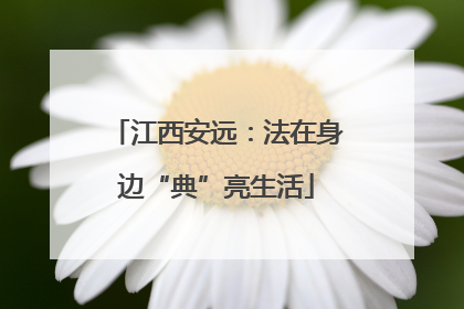 江西安远：法在身边“典”亮生活