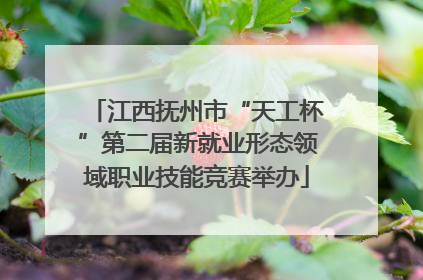 江西抚州市“天工杯”第二届新就业形态领域职业技能竞赛举办