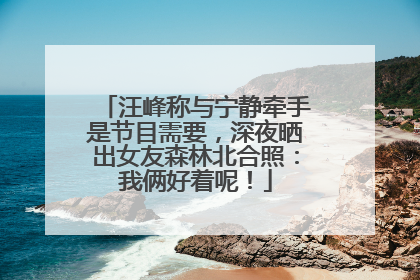 汪峰称与宁静牵手是节目需要，深夜晒出女友森林北合照：我俩好着呢！