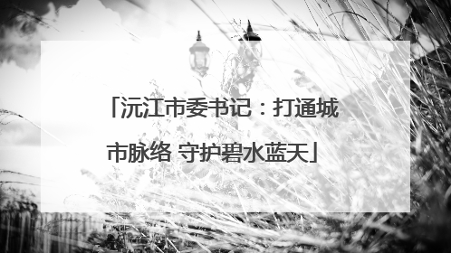 沅江市委书记：打通城市脉络 守护碧水蓝天