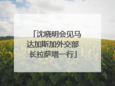 沈晓明会见马达加斯加外交部长拉萨塔一行