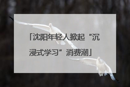 沈阳年轻人掀起“沉浸式学习”消费潮
