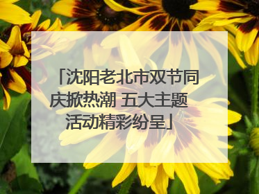 沈阳老北市双节同庆掀热潮 五大主题活动精彩纷呈