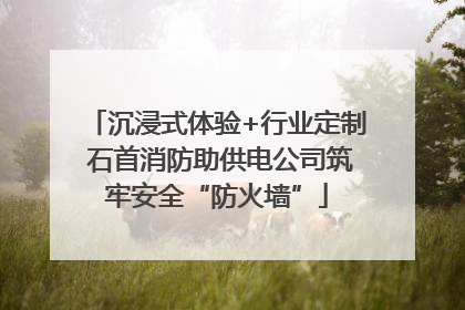 沉浸式体验+行业定制 石首消防助供电公司筑牢安全“防火墙”