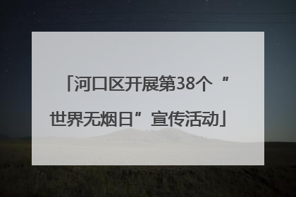 河口区开展第38个“世界无烟日”宣传活动