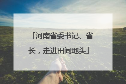 河南省委书记、省长，走进田间地头