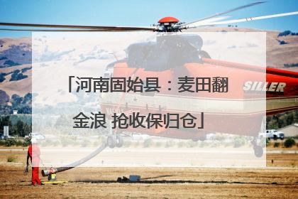 河南固始县：麦田翻金浪 抢收保归仓