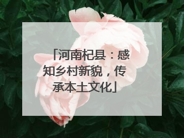 河南杞县：感知乡村新貌，传承本土文化