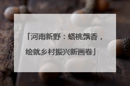 河南新野：蟠桃飘香，绘就乡村振兴新画卷