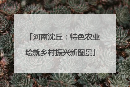 河南沈丘：特色农业绘就乡村振兴新图景