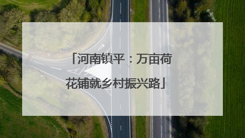 河南镇平：万亩荷花铺就乡村振兴路