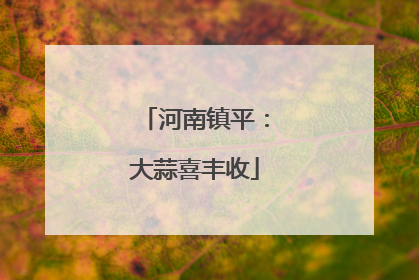 河南镇平：大蒜喜丰收