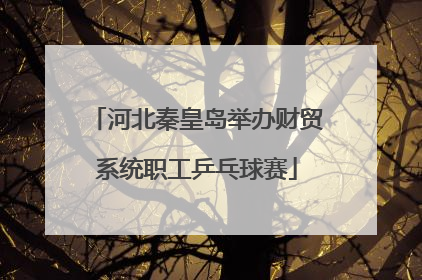 河北秦皇岛举办财贸系统职工乒乓球赛