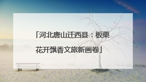 河北唐山迁西县：板栗花开飘香文旅新画卷