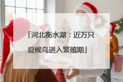 河北衡水湖：近万只夏候鸟进入繁殖期