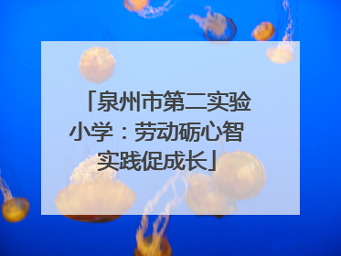 泉州市第二实验小学：劳动砺心智实践促成长