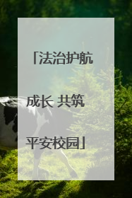 法治护航成长 共筑平安校园