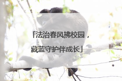 法治春风拂校园，藏蓝守护伴成长