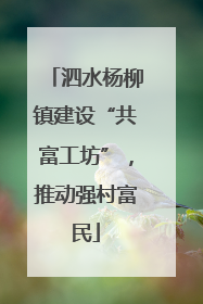 泗水杨柳镇建设“共富工坊”，推动强村富民