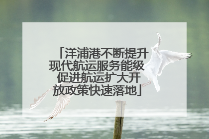 洋浦港不断提升现代航运服务能级 促进航运扩大开放政策快速落地
