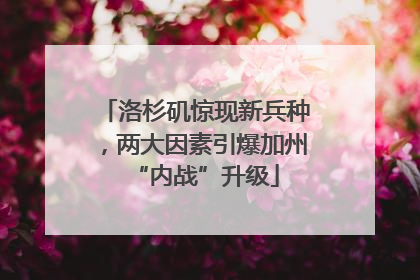 洛杉矶惊现新兵种，两大因素引爆加州“内战”升级