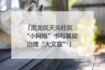 洛龙区天元社区：“小网格”书写基层治理“大文章”