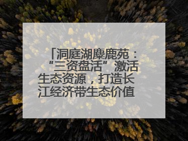 洞庭湖麋鹿苑：“三资盘活”激活生态资源，打造长江经济带生态价值转化新标杆