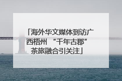 海外华文媒体到访广西梧州 “千年古郡”茶旅融合引关注