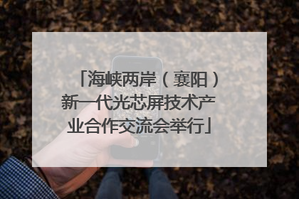 海峡两岸（襄阳）新一代光芯屏技术产业合作交流会举行