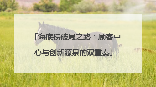 海底捞破局之路：顾客中心与创新源泉的双重奏