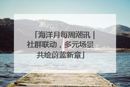 海洋月每周潮讯｜社群联动，多元场景共绘蔚蓝新章