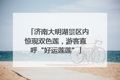 济南大明湖景区内惊现双色莲，游客直呼“好运莲莲”
